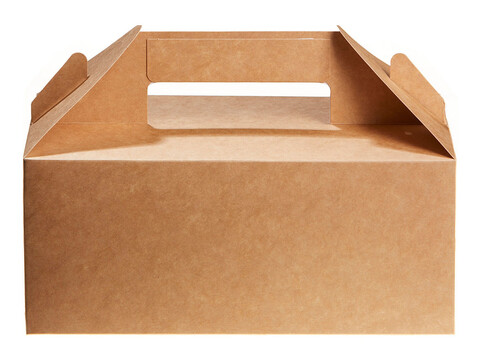 Carry PackM 22x 9, 5x 12cm, carton (125units)